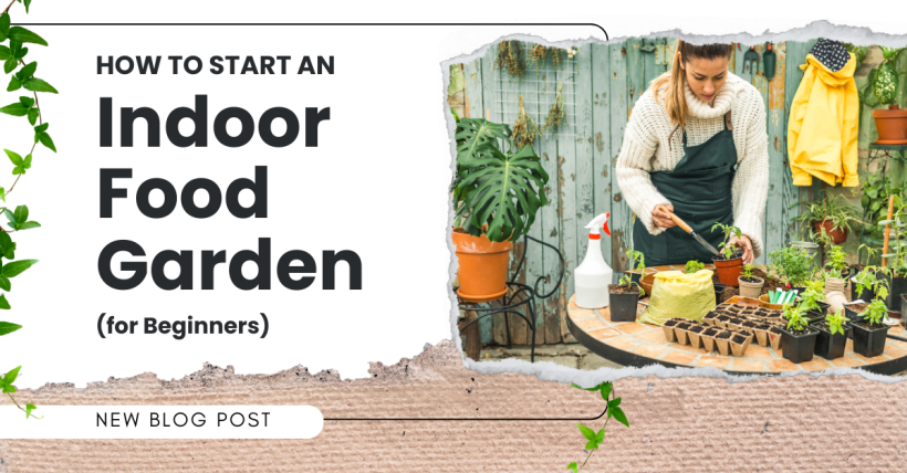 How to Start an Indoor Food Garden (for Beginners)